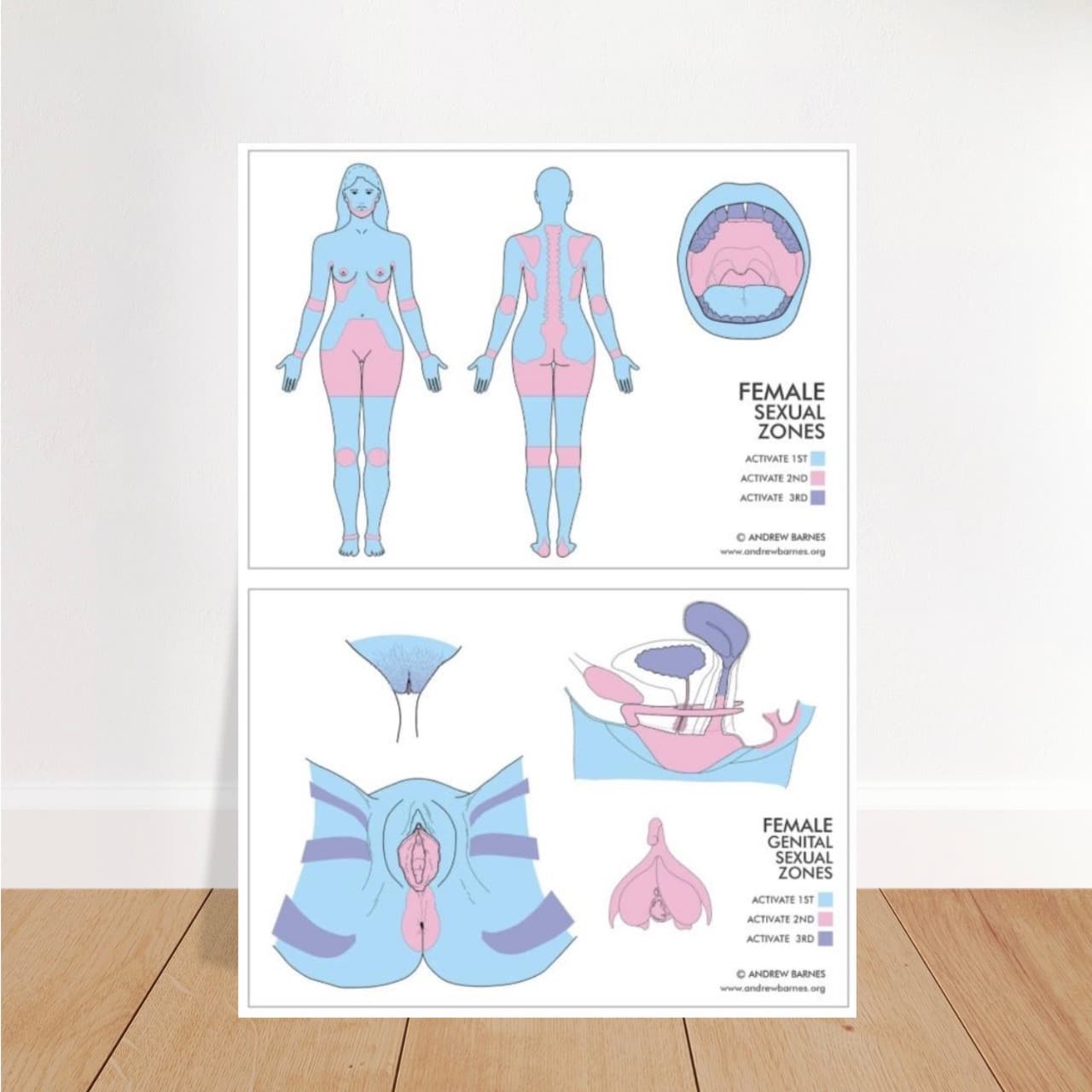 Mapa zón ženské sexuální energie obrázek produktu 1