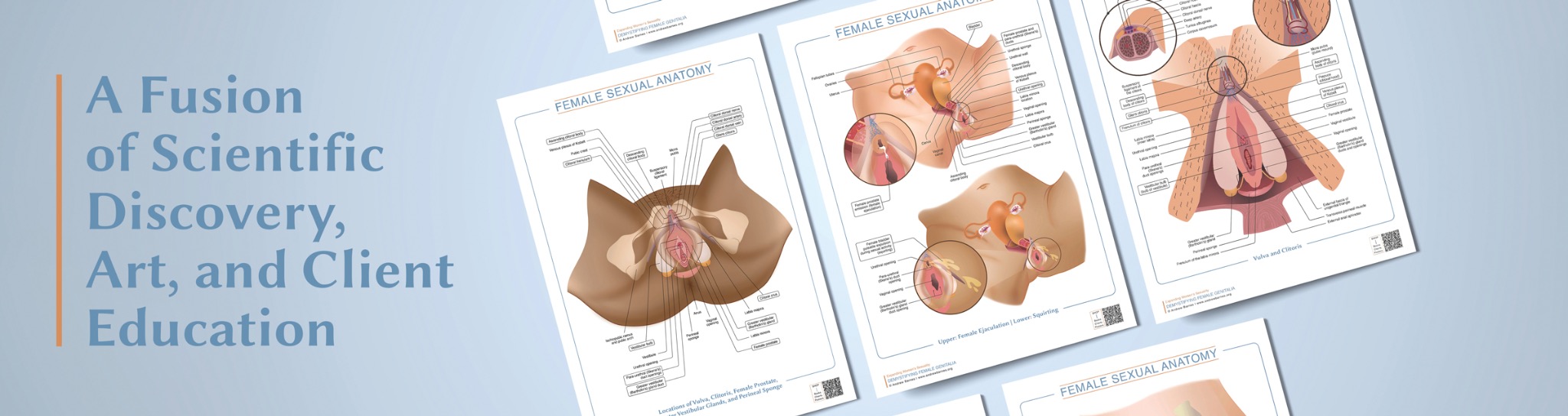 Kolekce anatomických plakátů ženských genitálií od Andrewa Barnese